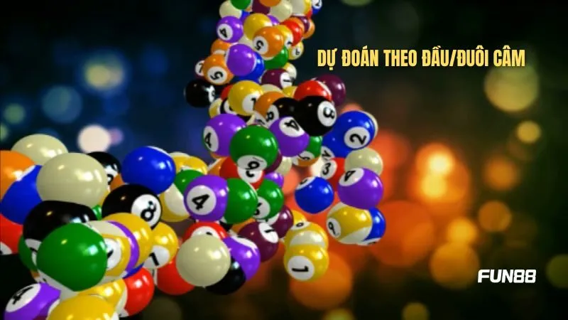 Dựa vào đầu/đuôi số tìm kiếm con số may mắn