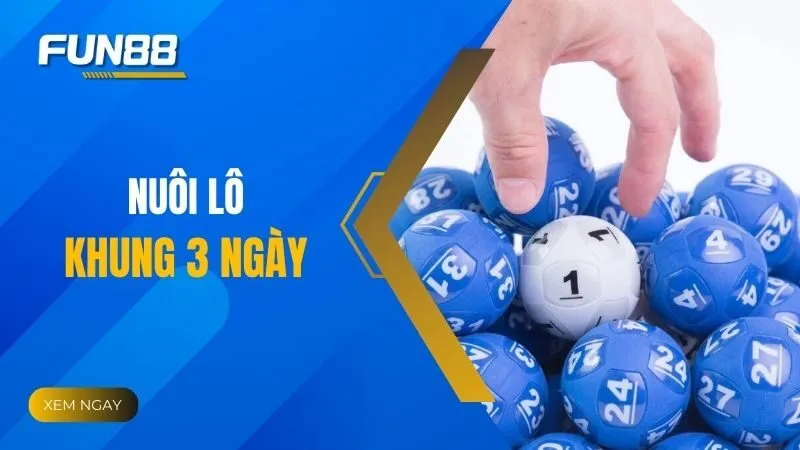Nuôi lô khung 3 ngày là gì và vì sao nhiều người theo đuổi?